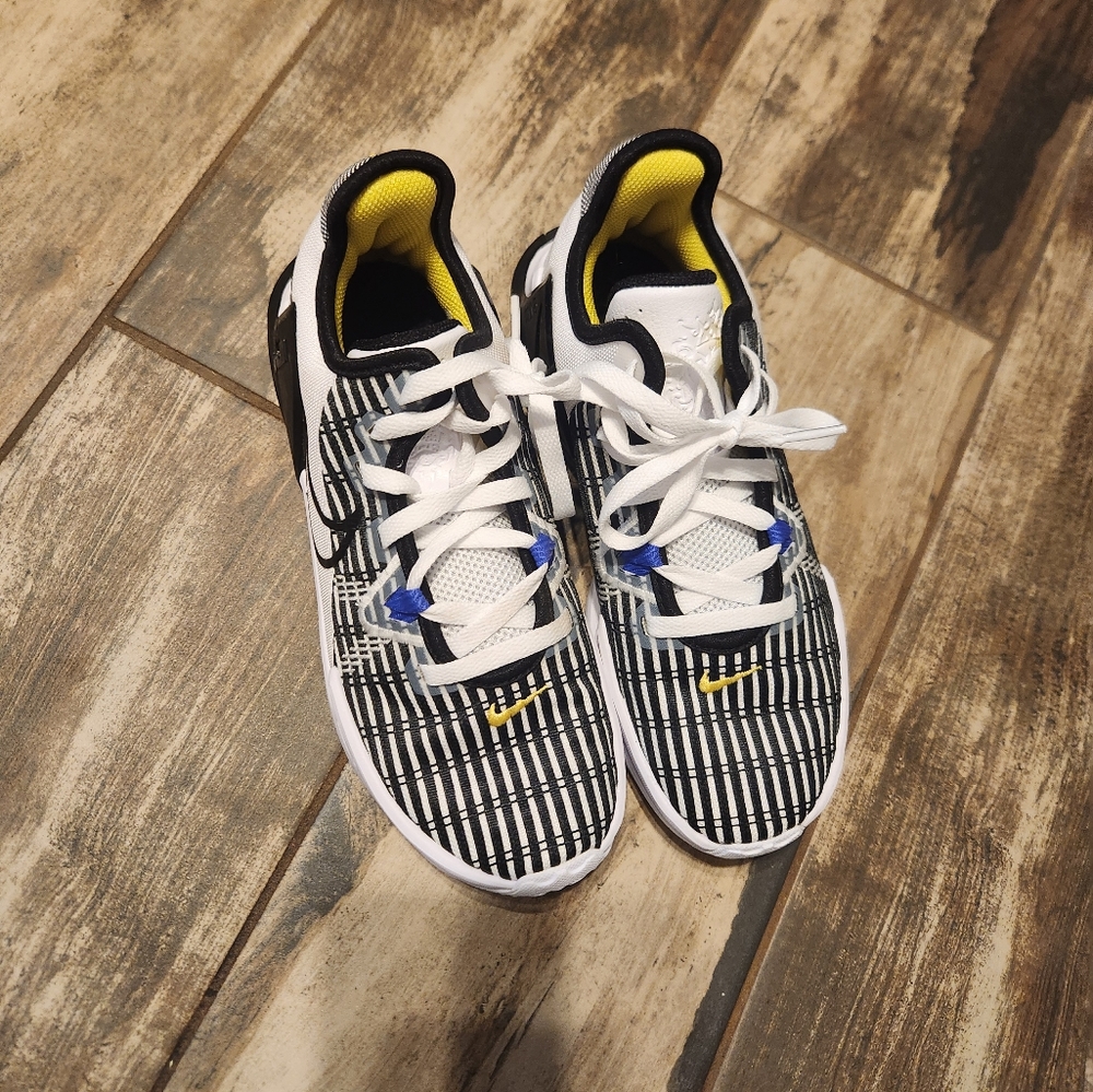 Lebron Witness Basketball Shoes